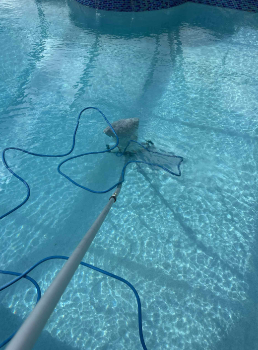 sparkling pool water