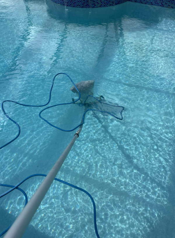 sparkling pool water