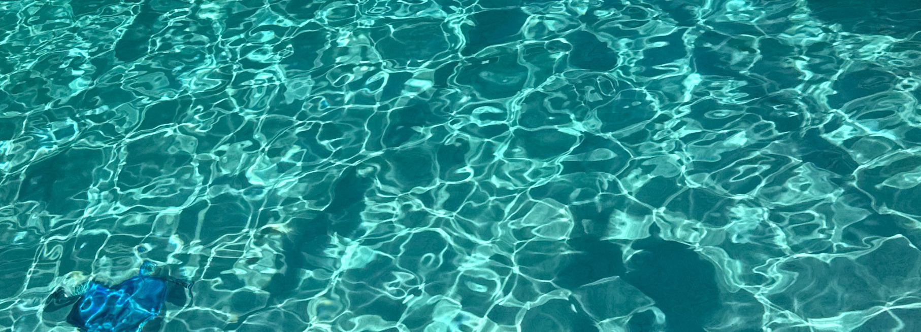pool cleaning vacuum in action